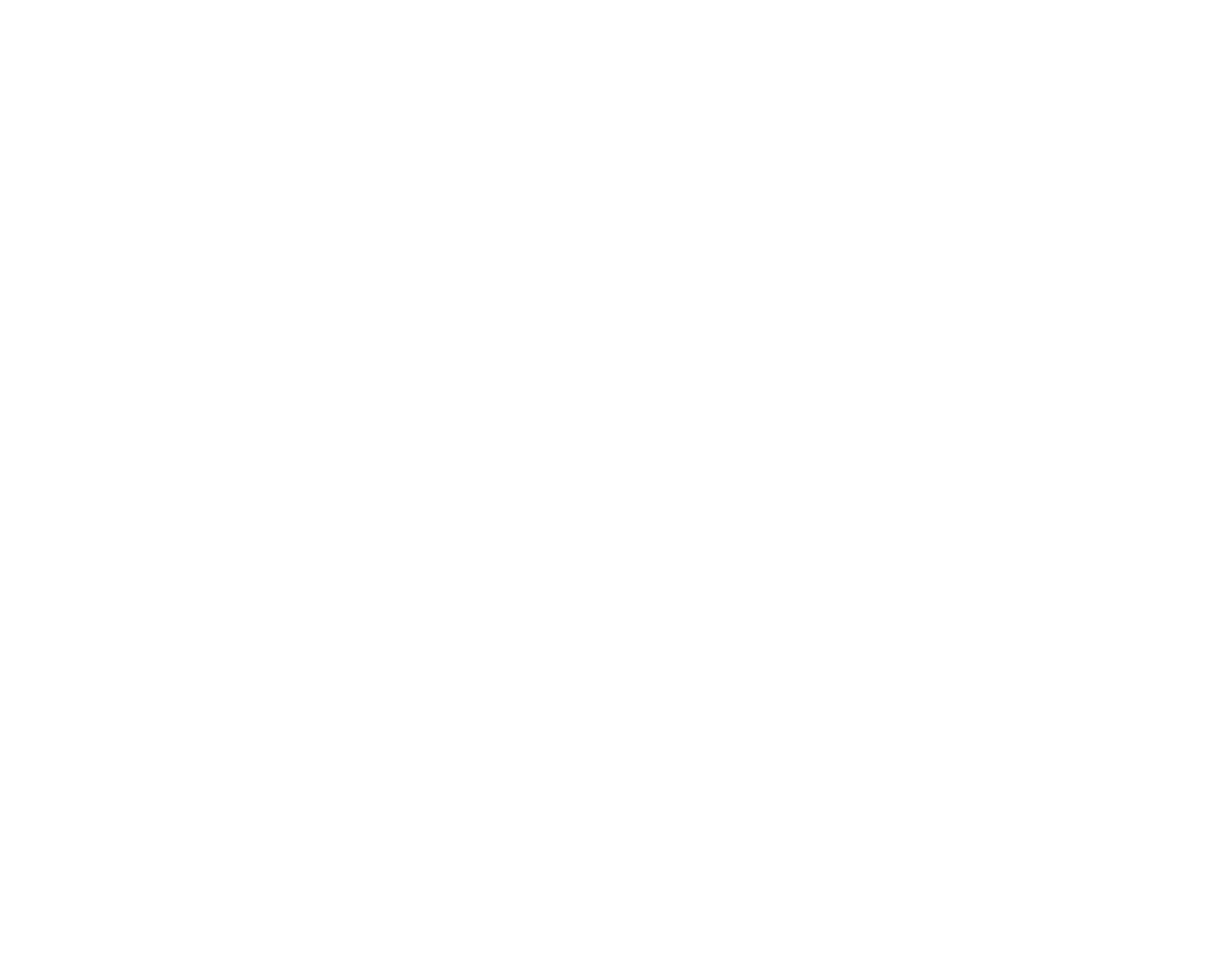 logowhite